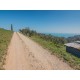 Properties for Sale_EXCLUSIVE FARMHOUSE TO RENOVATE WITH SEA VIEW in Fermo in the Marche in Italy in Le Marche_22